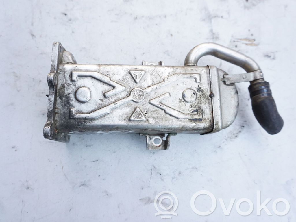 Volkswagen PASSAT B6 Chłodnica spalin EGR 