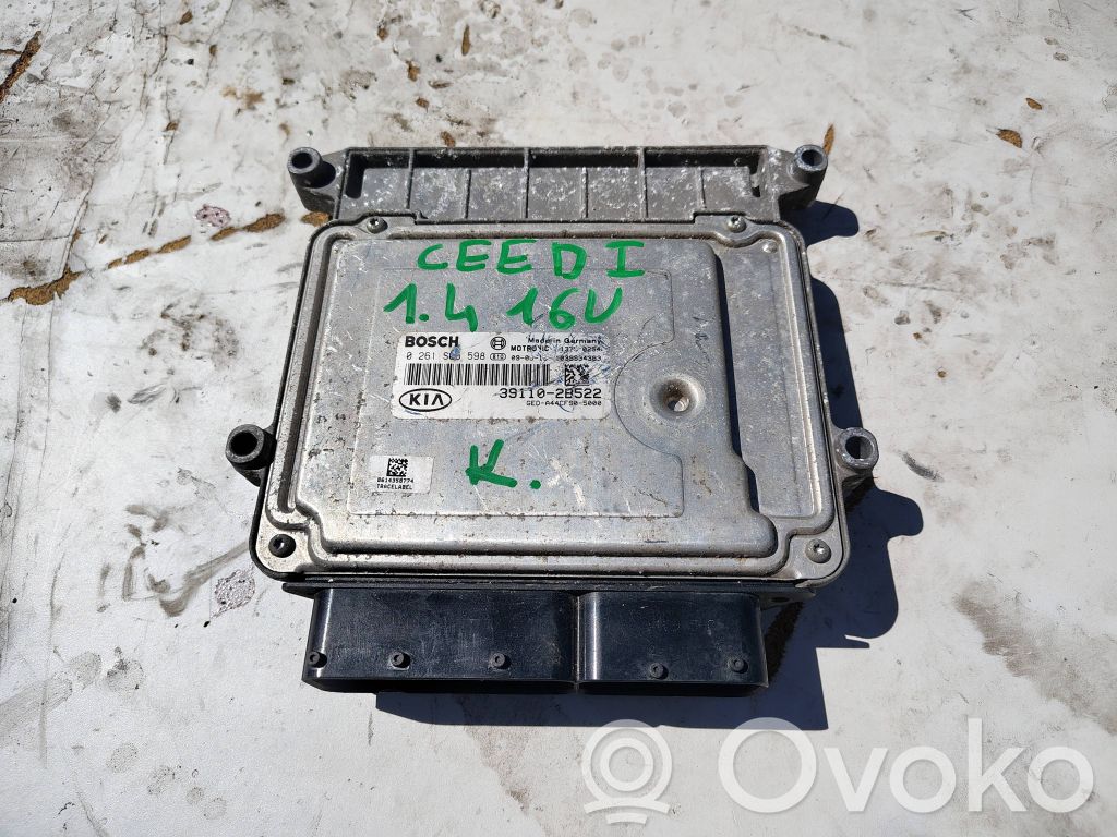 Engine control unit/module   391102B522