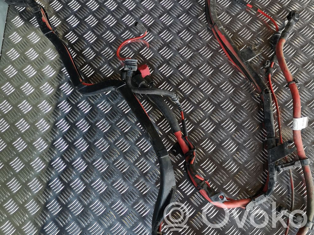 BMW X5 E70 Pliusinis laidas (akumuliatoriaus) 