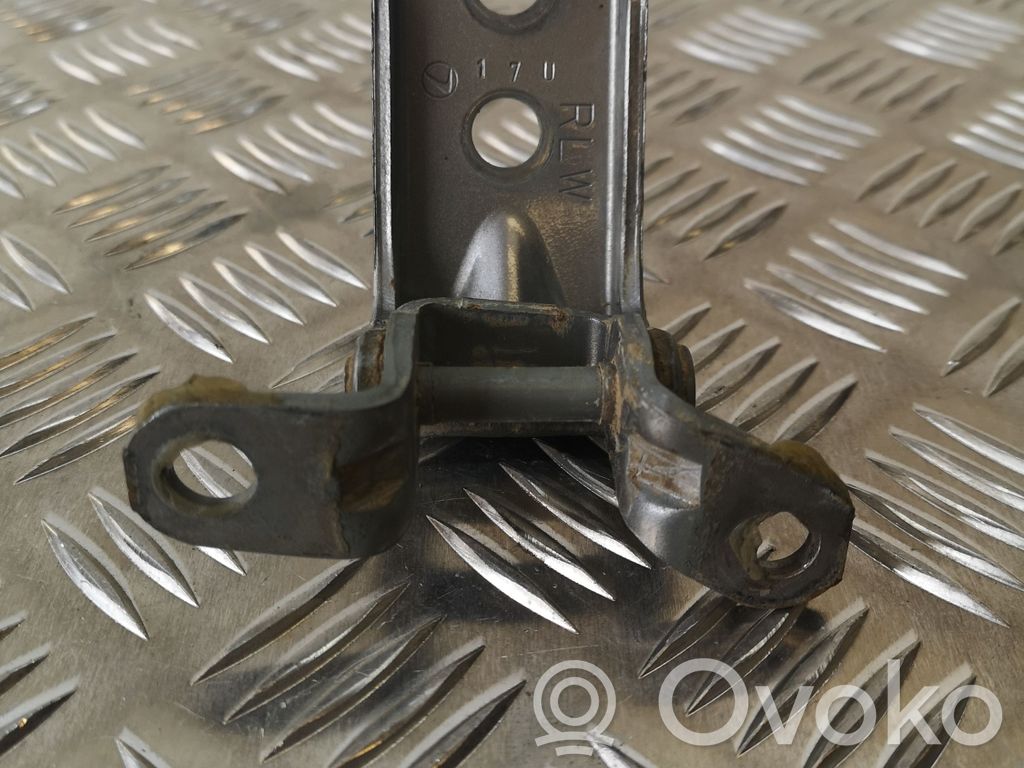 Subaru Outback Rear door lower hinge 