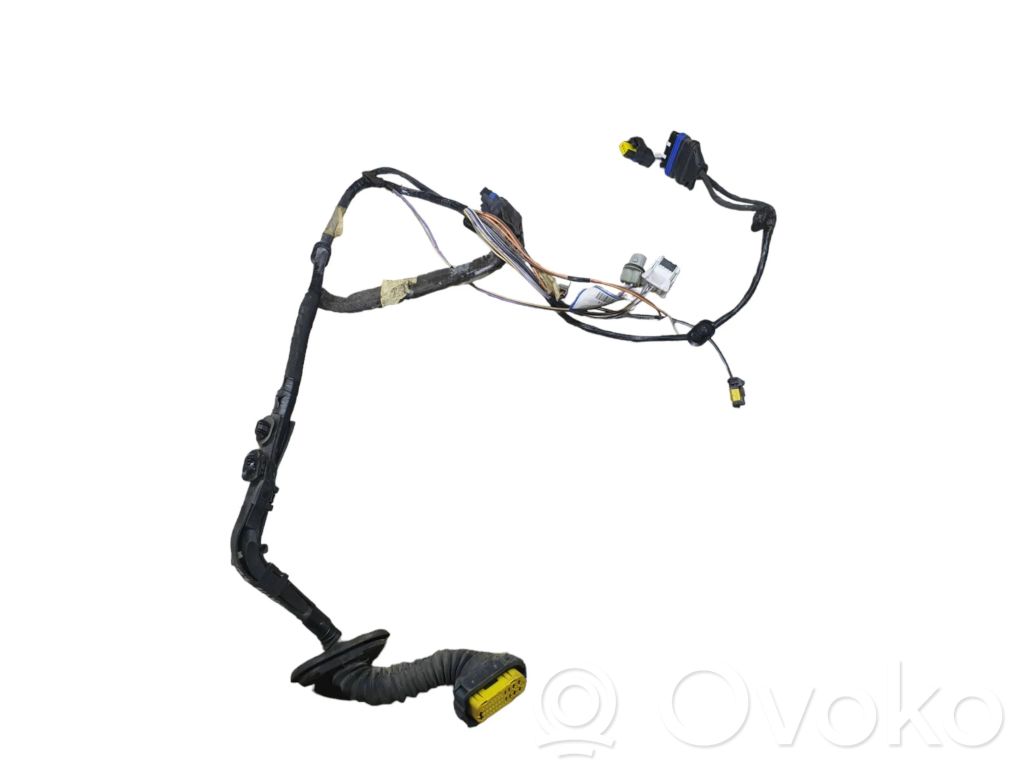 Renault Vel Satis Cableado de puerta trasera 