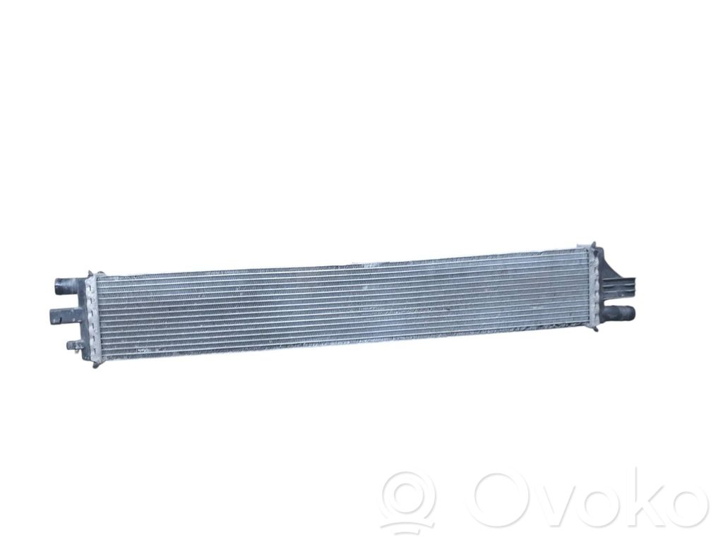 Renault Master III Radiator lichid răcire 