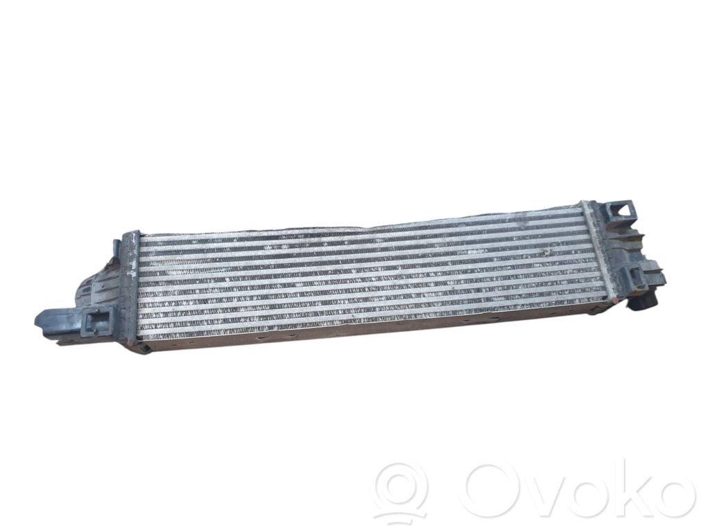 Renault Trafic III (X82) Intercooler radiator 