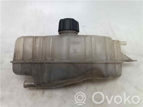 Renault Clio III Fuel expansion tank 