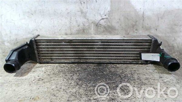 Radiatore intercooler   204D1
