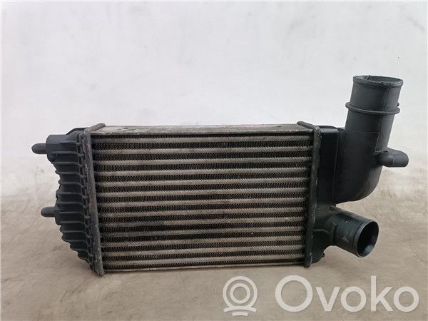 Intercooler radiator   THX,1307012080