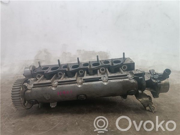 Renault Scenic I Galva 