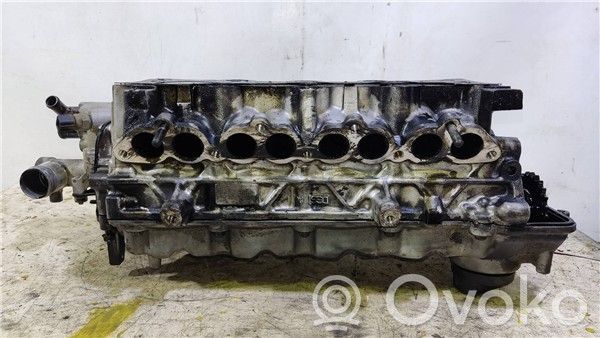 Galvutė   D4FA