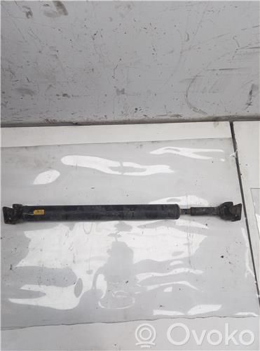 Etuvetoakseli   D4CB,491003E300