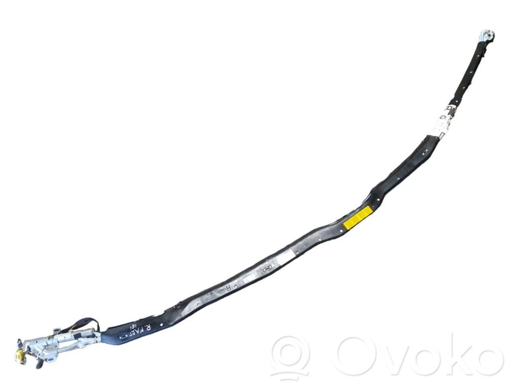 Airbag da tetto   3D1880742B