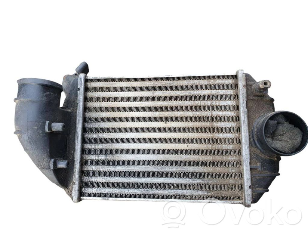 Volkswagen PASSAT B5.5 Starpdzesētāja radiators 