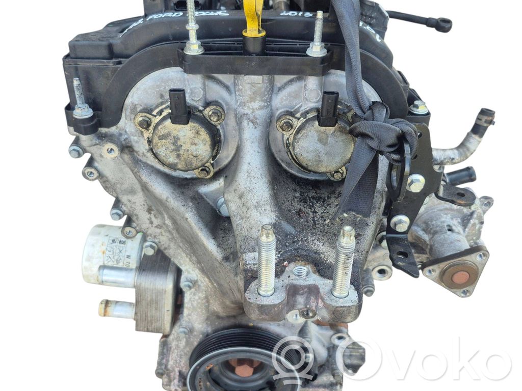 Ford Focus Engine 