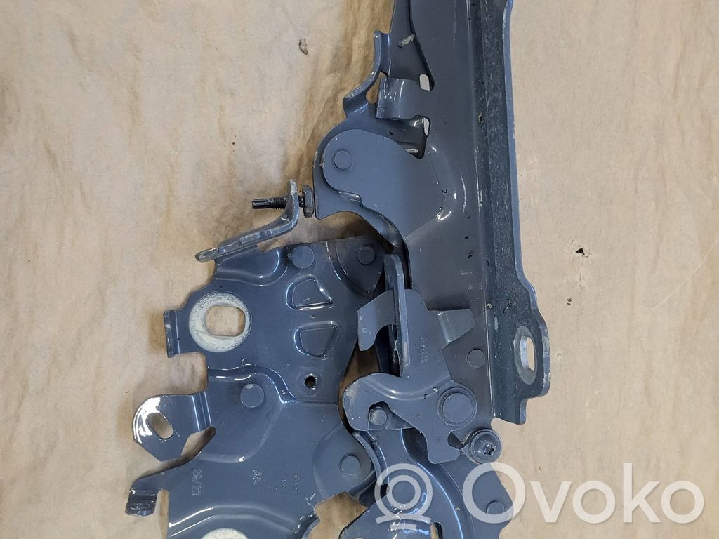 BMW 1 F70 Balamale capotă 