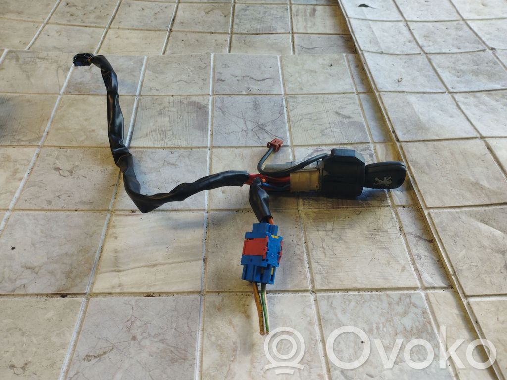 Peugeot 206 Užvedimo spynelė 