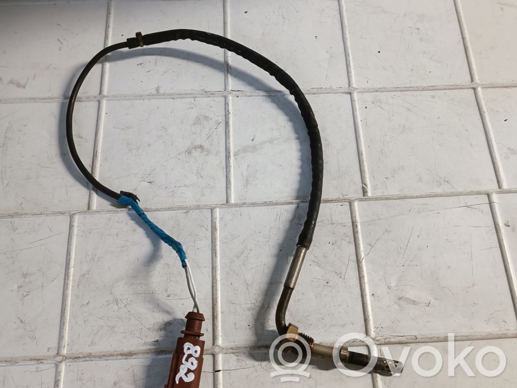 Volkswagen Tiguan Išmetamųjų dujų temperatūros daviklis 