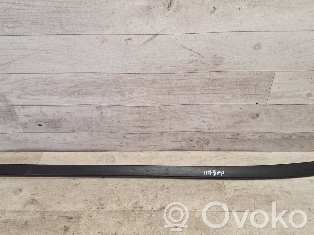 Ford Focus Windshield trim 