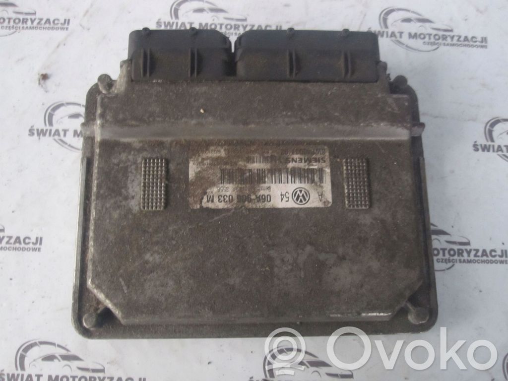 Volkswagen Golf IV Engine control unit/module 