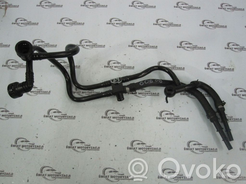 KIA Carnival Caurule (-es) / šļūtene (-es) 