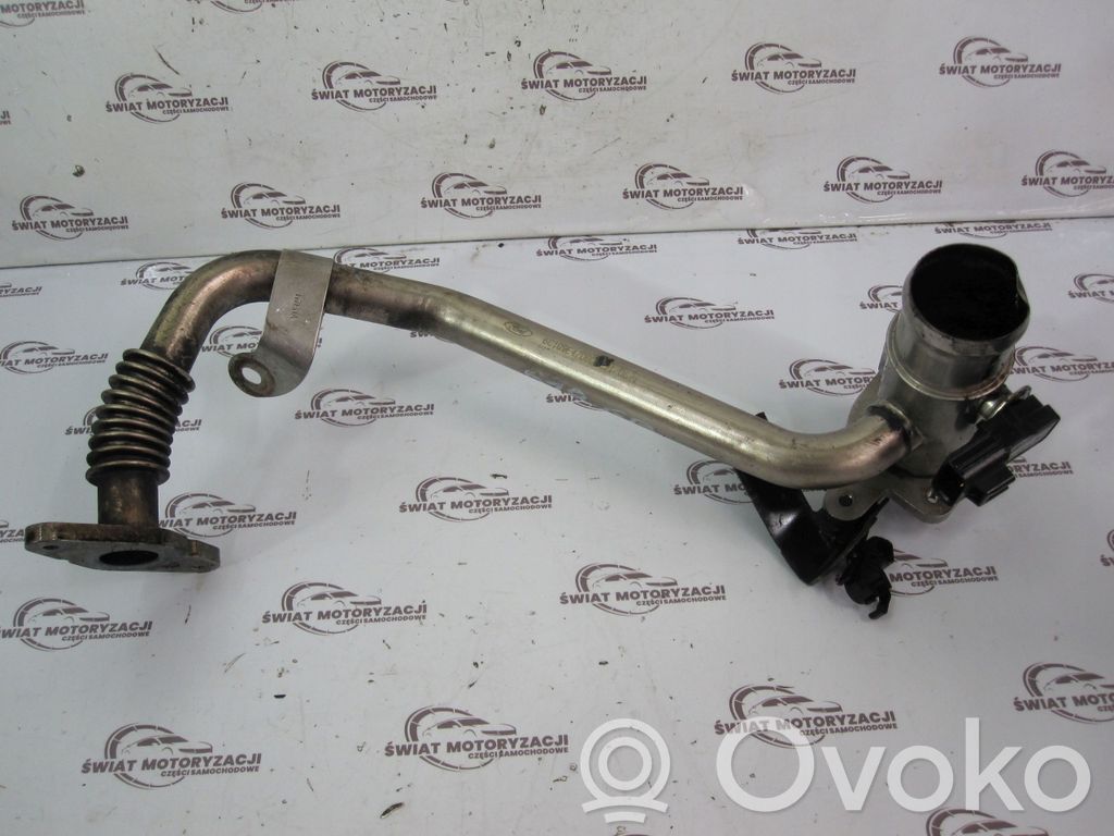 Ford Transit EGR vamzdelis (-iai)/ žarna (-os) 