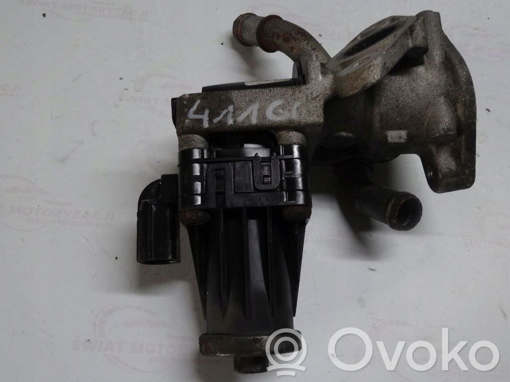 Ford Transit EGR vožtuvas 