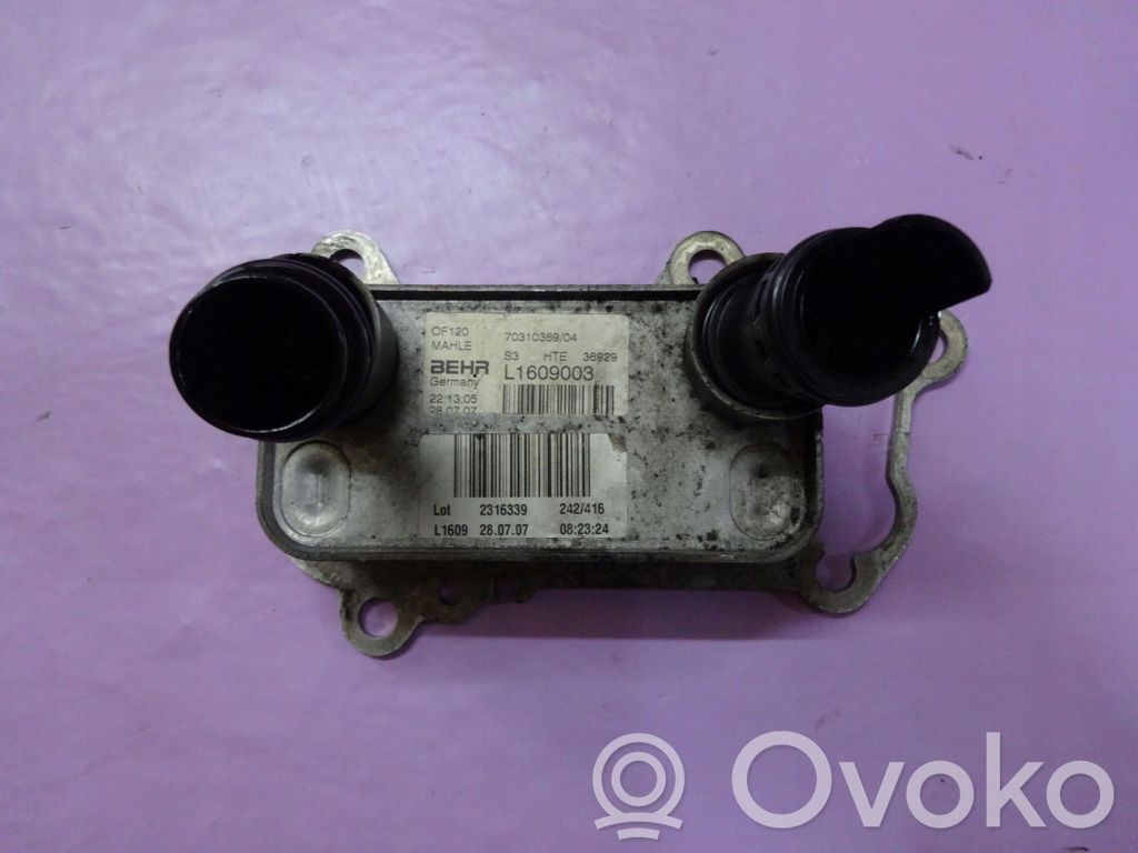 Öljynsuodattimen kannake   302GBA,169TYS,177KM,70310369,L1609003,N47D20A