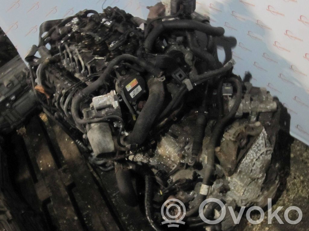 Motor   D4FB