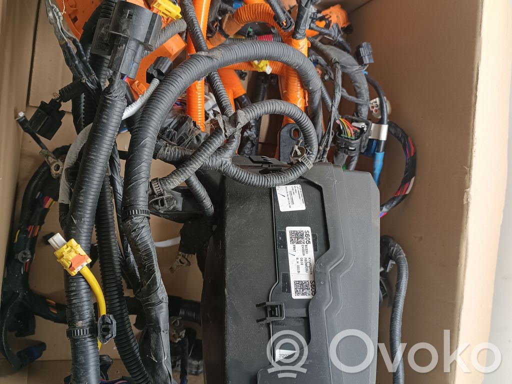 Mazo de cables   81230CV050A,220817000069,MB09A39U