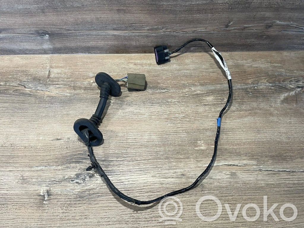 Smart ForFour I Cableado de puerta trasera 