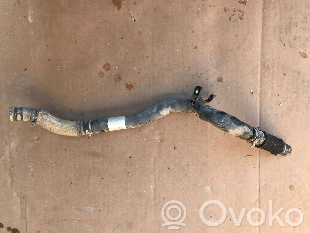 Engine coolant pipe/hose   4KE819928D