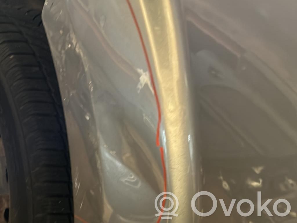 Dodge Journey Galinės durys 