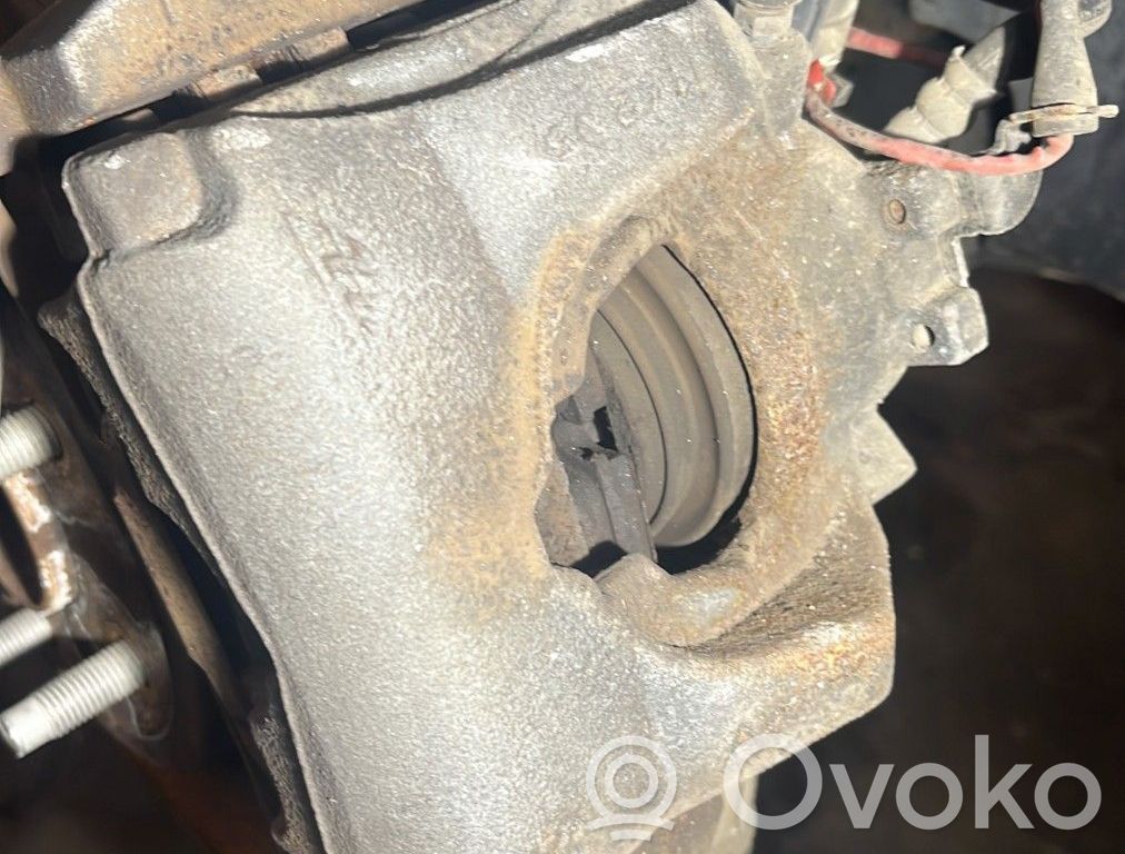 Etujarrusatula   T4N9758