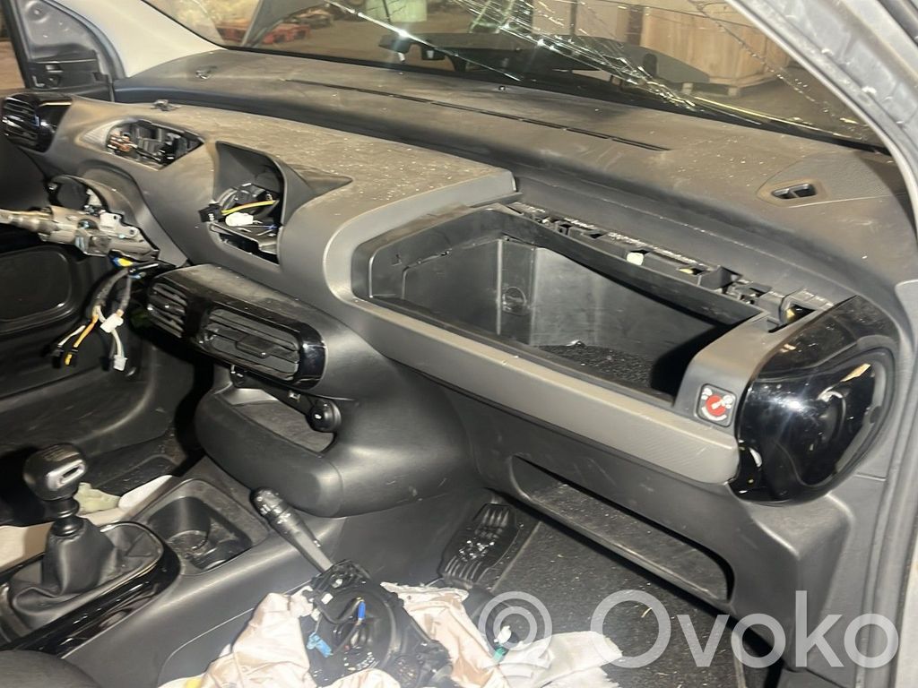 Citroen C4 Cactus Panelis 
