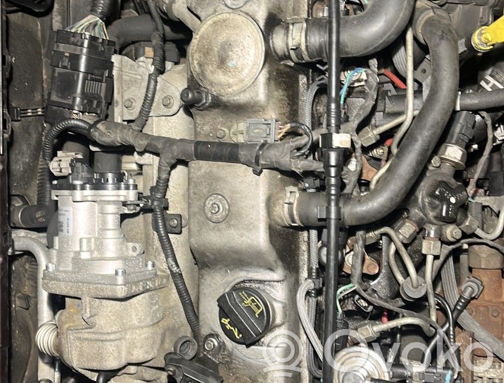 Ford Focus Motor 