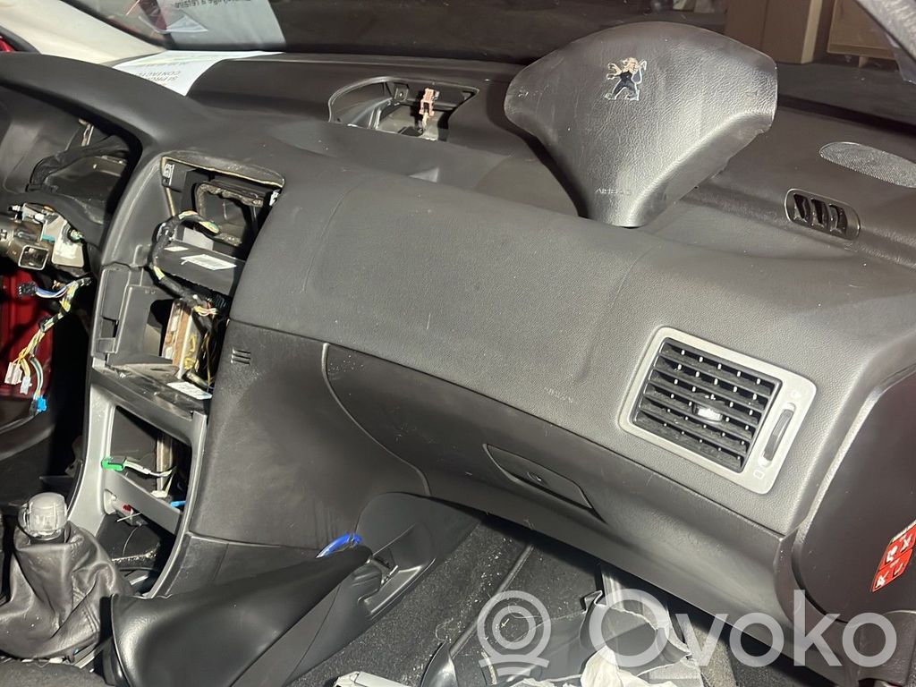 Peugeot 307 Panelis 
