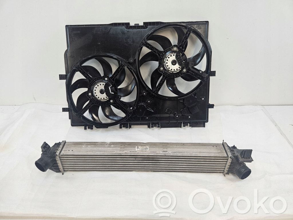 Interkūlerio radiatorius   LB479002,DF630001