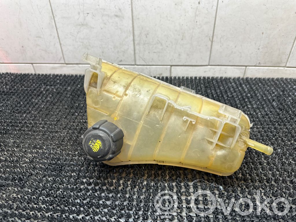 Renault Kangoo II Zbiornik wyrównawczy chłodziwa 