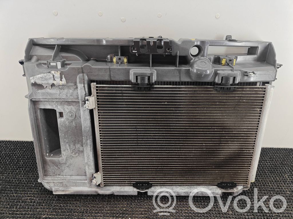 Peugeot 208 I Radiatoru panelis 