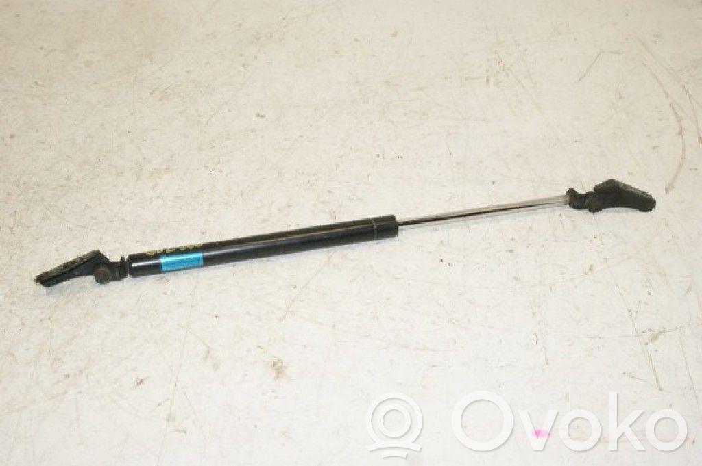 Tailgate/trunk strut/damper   C10063620C