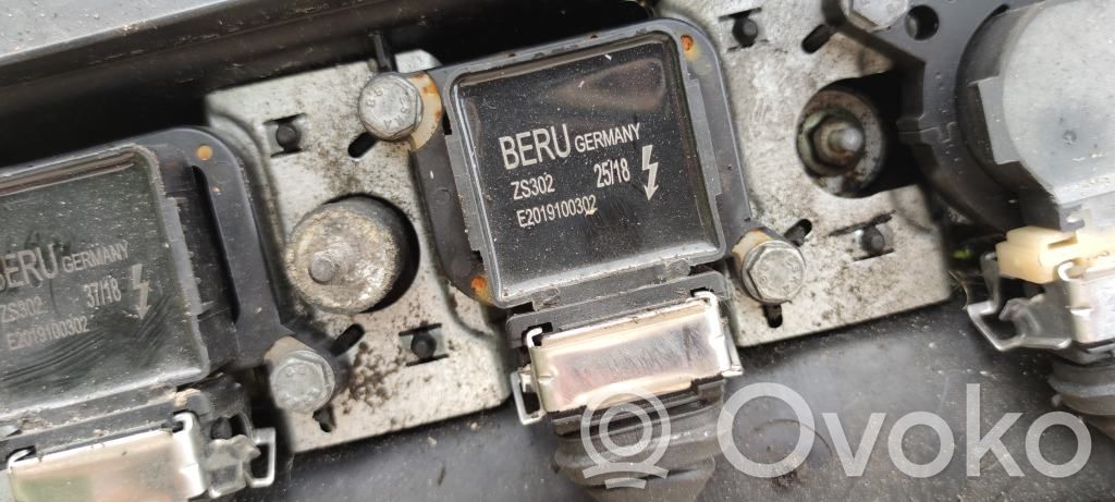 Aukštos įtampos ritė "babyna"   12137599219,E2019100302,ZS302