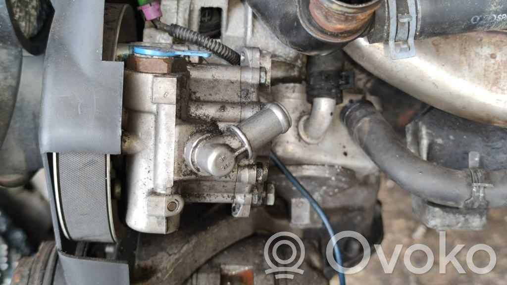 Volkswagen PASSAT B5.5 Ohjaustehostimen pumppu 