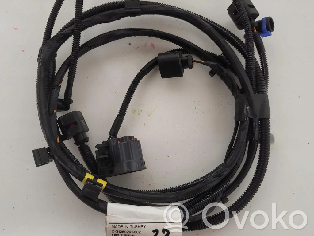 Otros cableados   31260291002