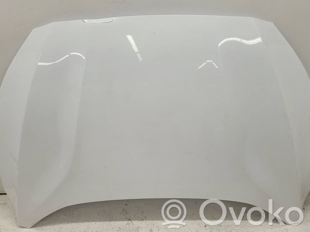 Vano motore/cofano   JX7BA16854AE