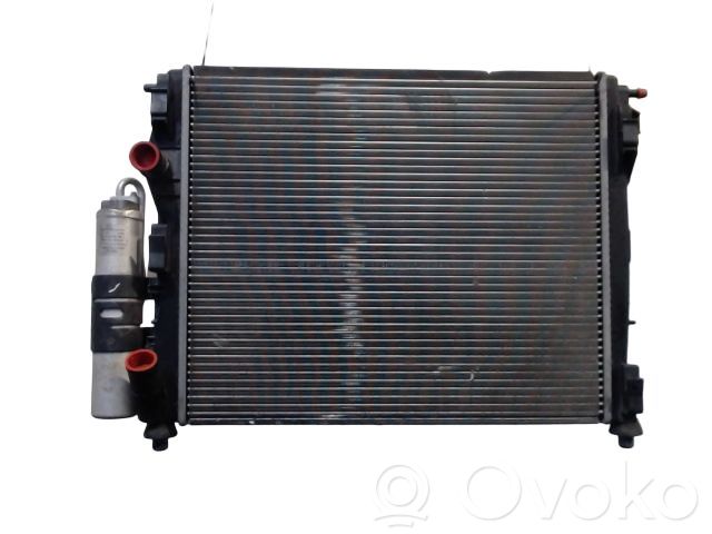 Renault Clio II Skraplacz / Chłodnica klimatyzacji 