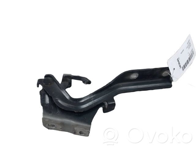 Nissan Juke I F15 Balamale capotă 