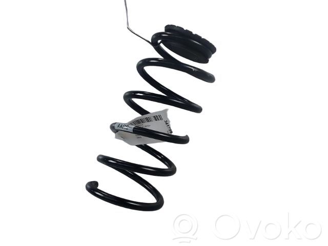Rear coil spring   13433131,13433131,994873