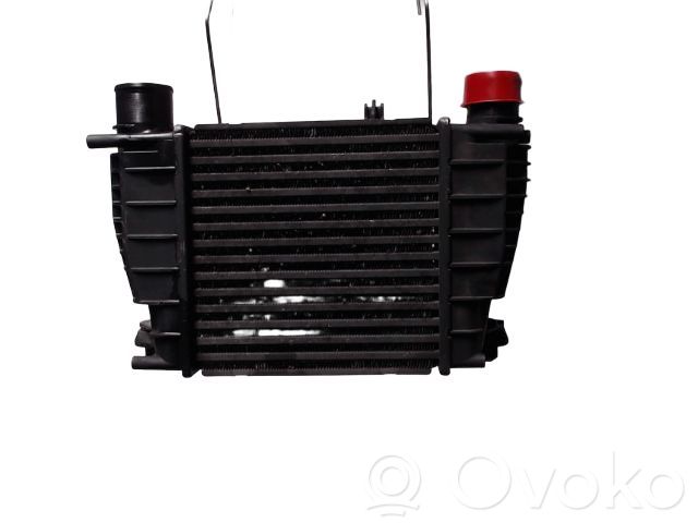 Intercooler radiator   14461JX51A,14461JX51A,309043