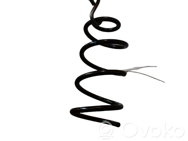 Rear coil spring   550203VU0A,550203VU0A,RA5276