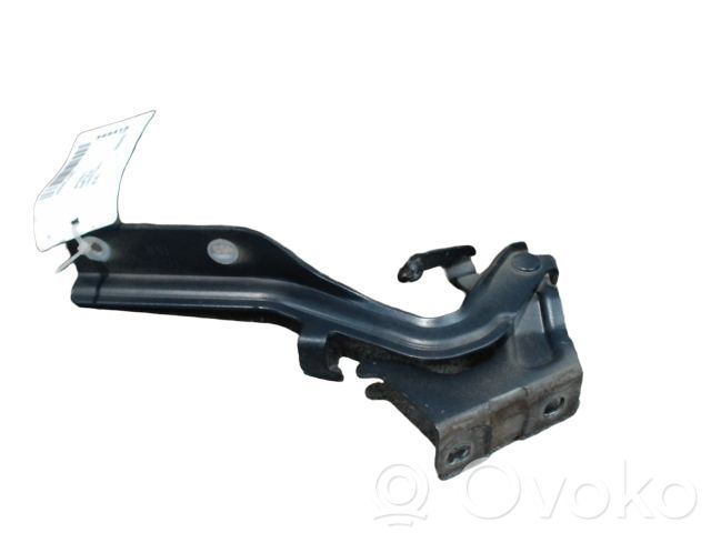 Nissan Juke I F15 Balamale capotă 