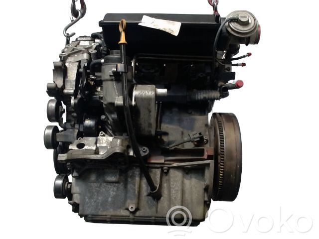 Variklis   204D2