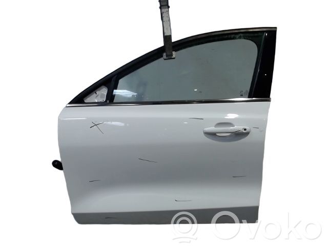 Ford Focus Front door 